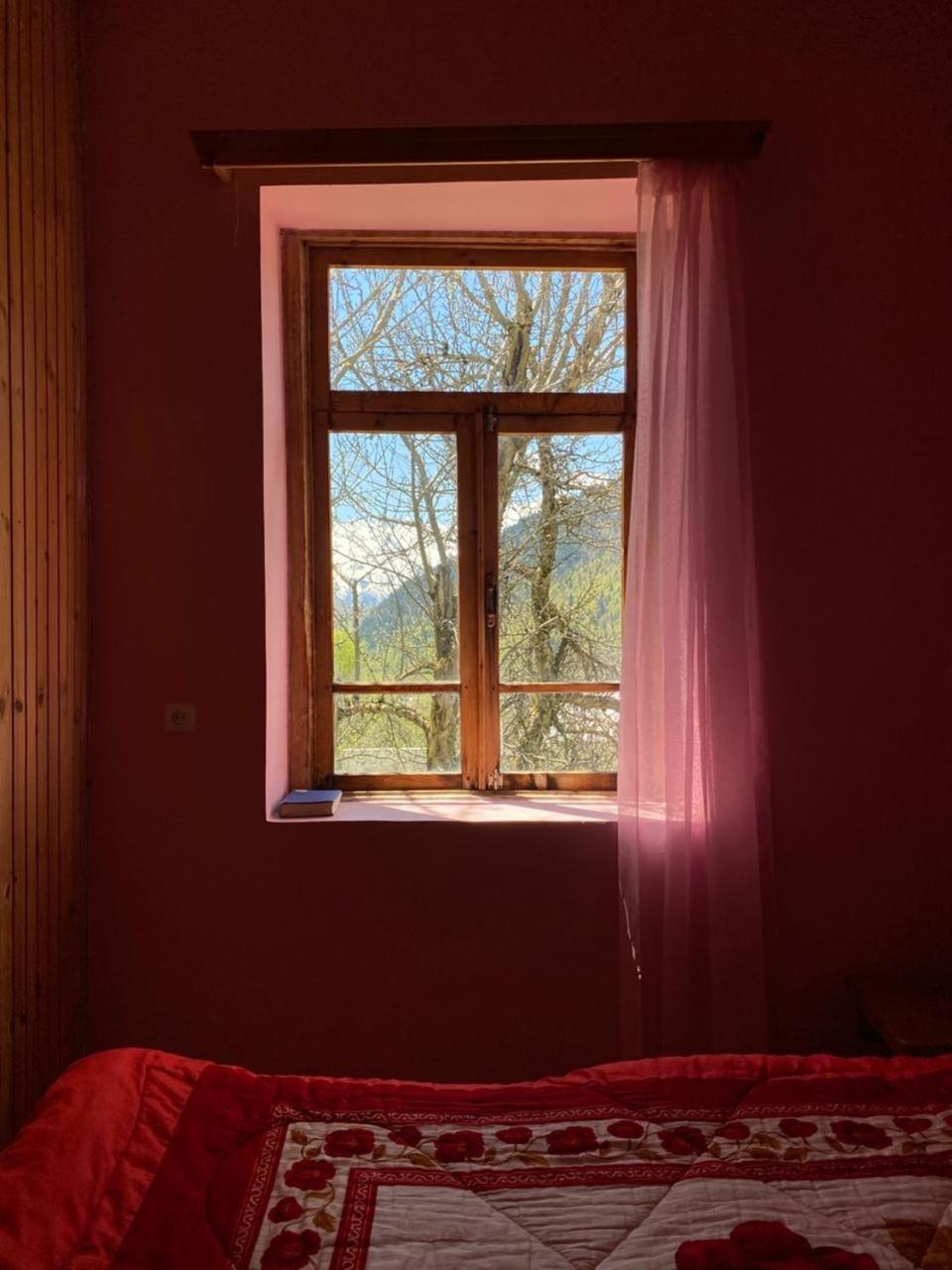 Lia Jamdeliani Guest House Bagvdanari Стая снимка